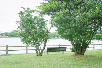 ベンチのある風景　門池公園