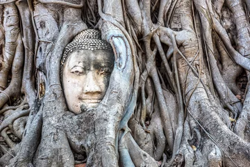 Foto auf Acrylglas Ayutthaya Kopf der Buddha-Statue © Sergii Figurnyi