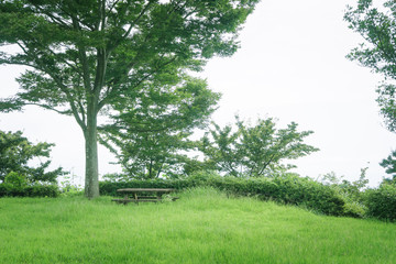 ベンチのある風景　御殿山芝生広場