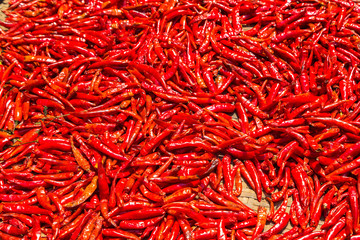 Fototapeta premium Red chili peppers