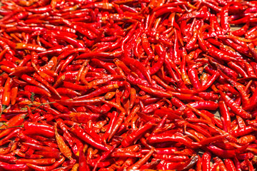 Red chili peppers
