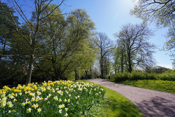 sylvan park image