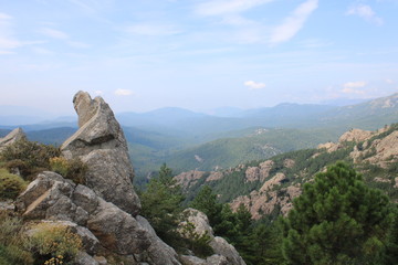 Fototapeta na wymiar Mountain Landscape Tree Stone Wonder Corsica Bavella Trail Sculpture