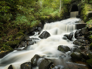 Rapids in early autumn