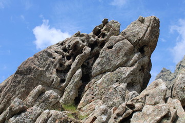 Mountain Landscape Tree Stone Wonder Corsica Bavella Trail Sculpture