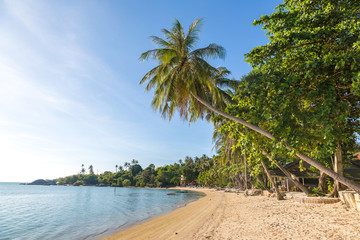 Fototapeta premium Beach on Phangan island