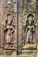 Ta Prohm temple in Angkor Wat