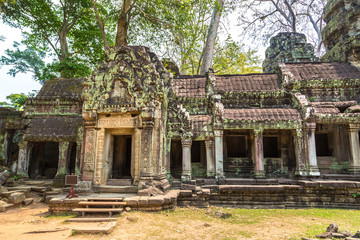 Fototapeta premium Ta Prohm temple in Angkor Wat