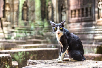 Ta Som temple in Angkor Wat