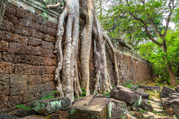 Preah Khan temple in Angkor Wat