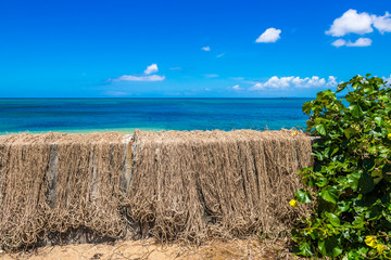沖縄の海と干し網