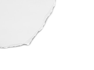 old rip paper texture on white background, empty space for text.