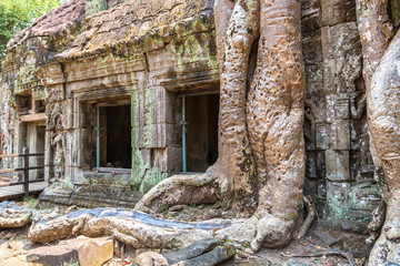 Fototapeta premium Ta Prohm temple in Angkor Wat