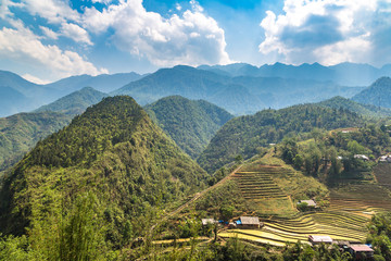 Terraced rice field in Sapa