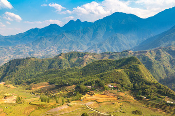 Terraced rice field in Sapa