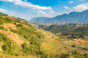 Terraced rice field in Sapa