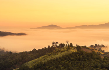 landscape view of sunrise on high angle view over rainforest mountain with white fog in early morning at thailand 