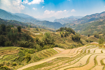 Fototapeta na wymiar Terraced rice field in Sapa
