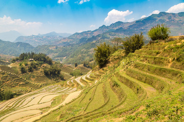 Fototapeta na wymiar Terraced rice field in Sapa