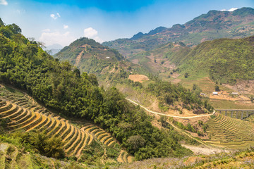 Terraced rice field in Sapa
