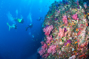 Wonderful and beautiful underwater world with ccoral reef landscape background in the deep blue ocean with colorful fish and marine life