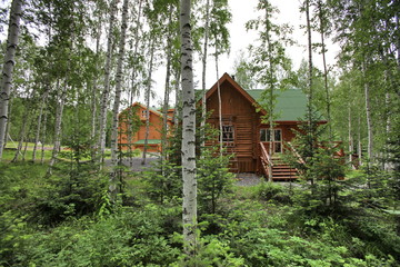wooden made house in the forest