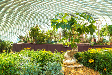 Fototapeta premium Greenhouse Flower Dome w Singapurze