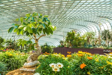 Zelfklevend Fotobehang Greenhouse Flower Dome in Singapore © Sergii Figurnyi