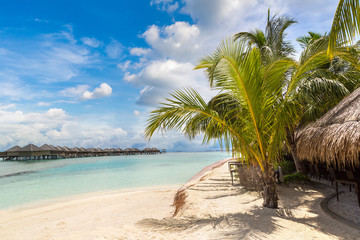 Obraz premium Tropical beach in the Maldives