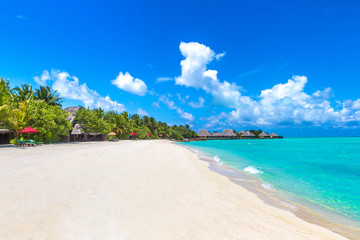 Tropical beach in the Maldives