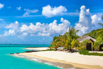Tropical beach in the Maldives