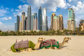 Fotobehang Kameel voor Dubai Marina © Sergii Figurnyi