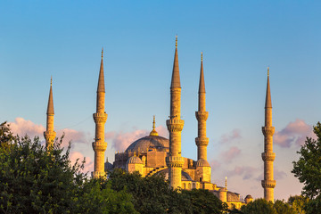 Fototapeta na wymiar Blue mosque (Sultan Ahmet) in Istanbul