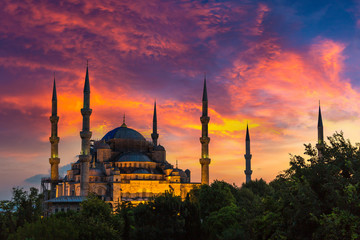 Fototapeta premium Blue mosque (Sultan Ahmet) in Istanbul
