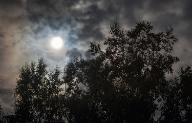 Mysterious night sky with full moon behind the clouds.
