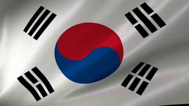 Beautiful high quality, high detailed flag of Korea.