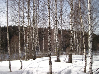 late spring in siberia