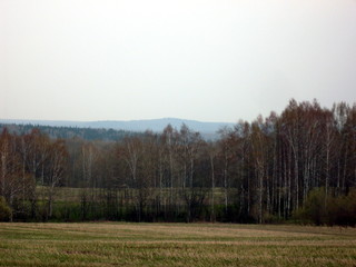 Obraz na płótnie Canvas Spring fields in Siberia