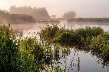 Dolina Górnej Narwi © podlaski49