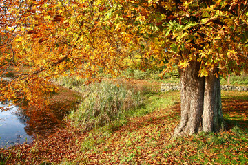 autumn in Denmark