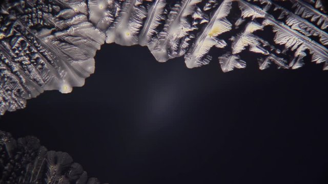 Slow motion shot of acetaminophen crystals growing on a slide