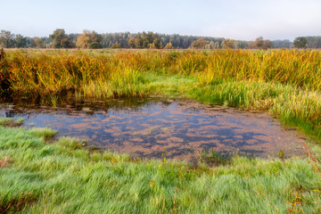 Dolina Górnej Narwi © podlaski49