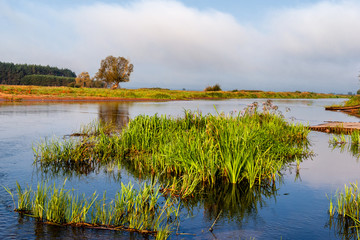 Dolina Górnej Narwi © podlaski49