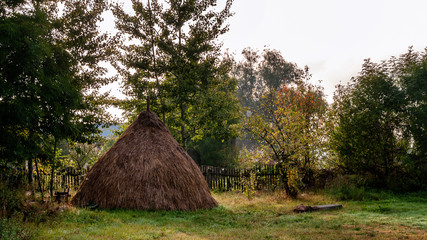 Dolina Górnej Narwi © podlaski49