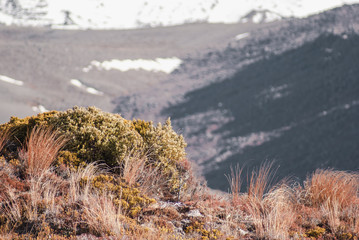 Alpine scenery at Tongariro national park. Hiking in New Zealand