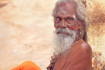 Portrait of Indian Sadhu Posing to Camera