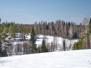 Spring at taiga