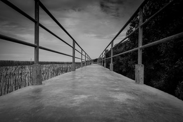 Perspective view of concrete bridge with metal fence on mangrove forest against dramatic grey sky and clouds. Grief, hopeless and despair concept. Lonely and sad emotional. Black and white background.