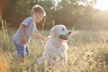  A child with a pet for a walk in the park. A boy plays with a friend a dog.