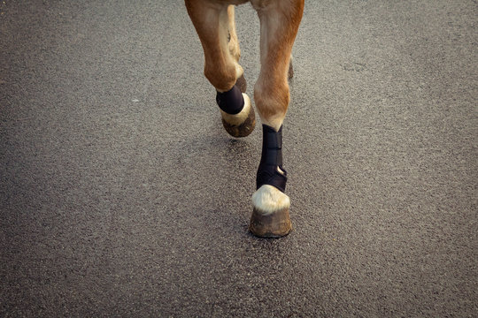 Reiten auf Stra&szlig;en 
